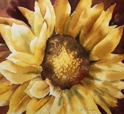 A Sunny Face