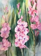 Graceful Gladiolas