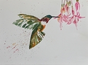 Wings 1