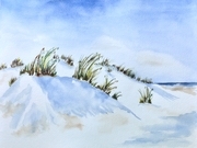 Oregon Dunes