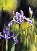 The Colour Purple