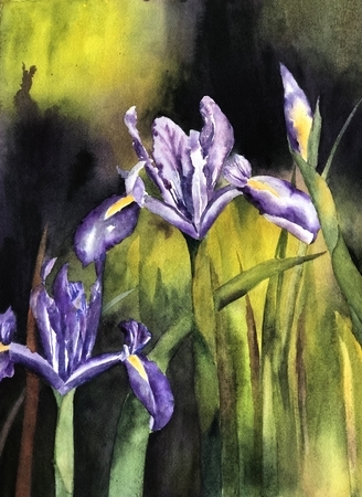 The Colour Purple