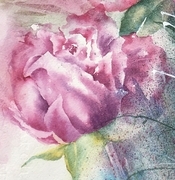 Romantic Rose