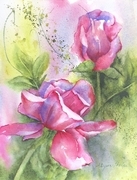 Romantic Roses