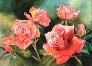 Scarlet Roses