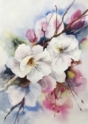Springtime